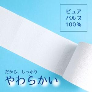 ふるさと納税 四国中央市 エルモア ピコ 2倍...の詳細画像2