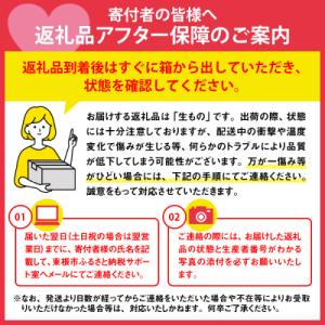 ふるさと納税 東根市 【2026年産】 樹上完...の詳細画像3
