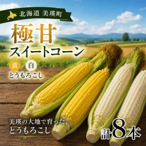 ふるさと納税 美瑛町 【先行予約】北海道 とうもろこし(黄色&amp;白)8本 各4本 令和8年産 おおとり