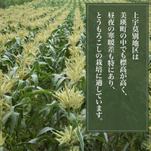 ふるさと納税 美瑛町 【先行予約】北海道 とう...の詳細画像2