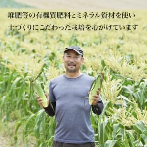 ふるさと納税 美瑛町 【先行予約】北海道 とう...の詳細画像3