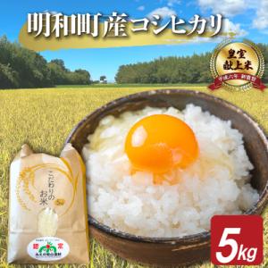 ふるさと納税 明和町 【期間限定価格】　三重県産 山本農産のお米(コシヒカリ) 5kg　yn13