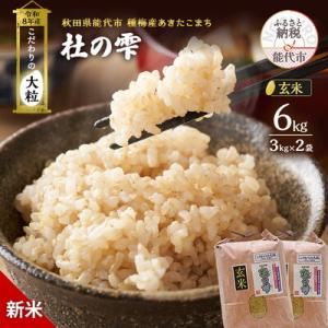 ふるさと納税 能代市 新米 令和8年産 玄米 秋田県産 あきたこまち 6kg(3kg×2)[No.5409-0045]