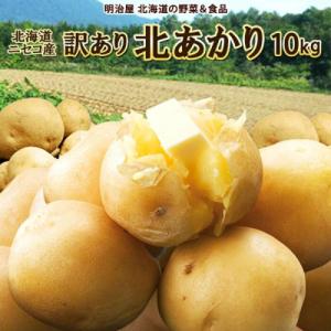 ふるさと納税 ニセコ町 早期受付・数量限定 北海道ニセコ町 訳ありじゃがいも北あかり10kg　202...