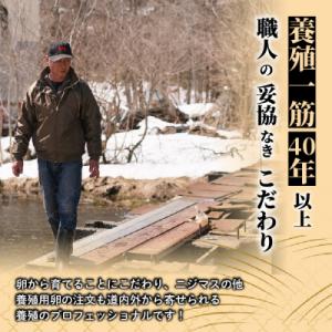 ふるさと納税 比布町 ぴっぷサーモン イクラ醤...の詳細画像2