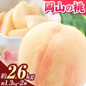 ふるさと納税 笠岡市 【2027年発送】岡山の桃 約2.6kg《2027年6月下旬〜9月上旬頃出荷》岡山 笠岡市 白桃