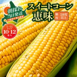 ふるさと納税 清水町 先行受付!【8月頃〜発送開始】北海道十勝清水町産とうもろこし 恵味 サイズ混合...