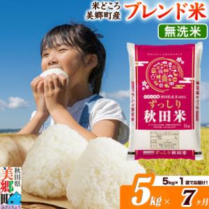 ふるさと納税 美郷町 《定期便7ヶ月》ブレンド米【無洗米】精米 5kg(5kg×1袋)|01_ssn-010507m