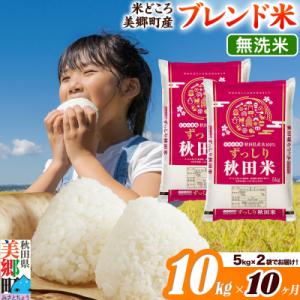 ふるさと納税 美郷町 《定期便10ヶ月》ブレンド米【無洗米】精米 10kg(5kg×2袋)|01_ssn-011010m