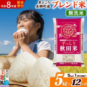 ふるさと納税 美郷町 新米受付 《定期便12ヶ月》ブレンド米【無洗米】精米 5kg|01_ssn-010512ms