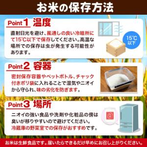 ふるさと納税 美郷町 新米受付 《定期便12ヶ...の詳細画像2