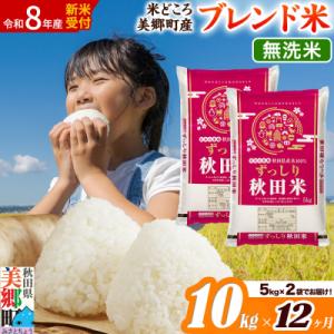 ふるさと納税 美郷町 新米受付 《定期便12ヶ月》ブレンド米【無洗米】精米 10kg|01_ssn-011012ms