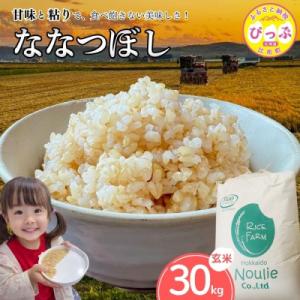 ふるさと納税 比布町 【令和8年産 新米先行受付】ななつぼし玄米 30kg【農業生産法人ノウリエ】