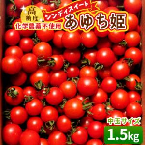 ふるさと納税 設楽町 栽培期間中農薬不使用 中玉トマト シンディースイート あゆち姫 1.5kg ミ...