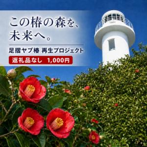 ふるさと納税 土佐清水市 足摺ヤブ椿再生プロジェクト 応援(返礼品なし) 自然・環境保護 SDGs【R01750】