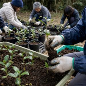 ふるさと納税 土佐清水市 足摺ヤブ椿再生プロジ...の詳細画像1