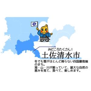 ふるさと納税 土佐清水市 足摺ヤブ椿再生プロジ...の詳細画像2