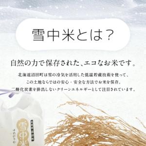 ふるさと納税 沼田町 令和8年産 【定期便3ヶ...の詳細画像1