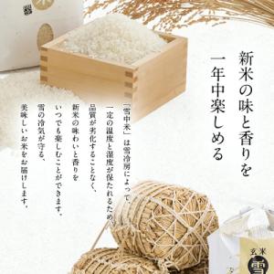 ふるさと納税 沼田町 令和8年産 【定期便3ヶ...の詳細画像2
