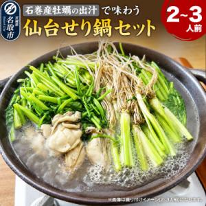 ふるさと納税 名取市 仙台せり鍋セット〈石巻産牡蠣〉2〜3人前|21_hmy-290301