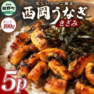 ふるさと納税 田野町 きざみうなぎ　5パック