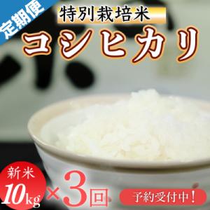 ふるさと納税 三原村 新米先行受付!令和8年産(精白米)　特別栽培米　こしひかり10kg×3袋