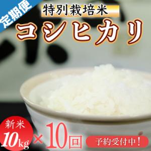 ふるさと納税 三原村 新米先行受付!令和8年産(精白米)　特別栽培米　こしひかり10kg×10袋