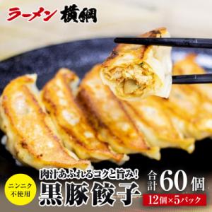 ふるさと納税 京都市 【ラーメン横綱】ニンニク不使用! 黒豚餃子 5パック60個 京都 有名店 餃子 大人気セット