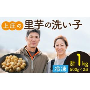 ふるさと納税 大野市 【先行予約】皮むきいらず、煮っ転がしに最適!上庄の里芋の洗い子 1kg【冷凍】
