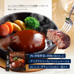 ふるさと納税 京都市 神戸開花亭 煮込みハンバ...の詳細画像1