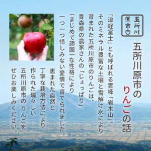 ふるさと納税 五所川原市 【2026年10月発...の詳細画像3