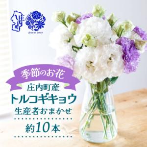 ふるさと納税 庄内町 【R8.9月下旬発送】庄内町フラワーラボ トルコギキョウ 生産者おまかせ 10本