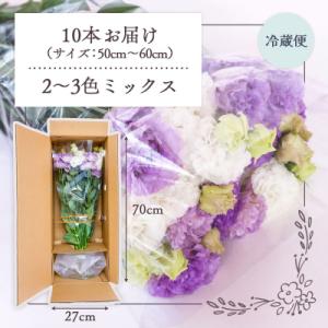 ふるさと納税 庄内町 【R8.9月下旬発送】庄...の詳細画像1