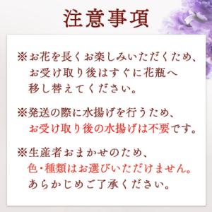 ふるさと納税 庄内町 【R8.9月下旬発送】庄...の詳細画像2