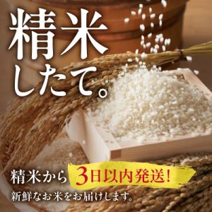 ふるさと納税 雨竜町 【新米予約】令和8年産【...の詳細画像2