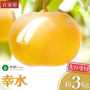 ふるさと納税 三条市 先行受付 和梨 幸水 自家用 約3kg 令和8年度 新潟県 三条市産 梨 【0...