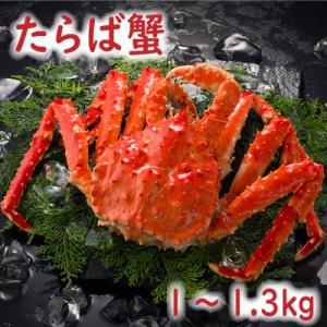 ふるさと納税 根室市 【北海道根室産】たらば蟹1〜1.3kg B-19007