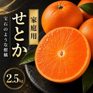 ふるさと納税 愛南町 【先行予約】 せとか 2.5kg 家庭用 ハウス栽培  みかん 愛媛県 愛南町...