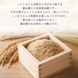 ふるさと納税 西予市 <にじのきらめき ...の詳細画像2