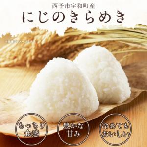 ふるさと納税 西予市 <にじのきらめき ...の詳細画像1
