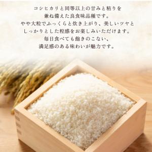 ふるさと納税 西予市 <にじのきらめき ...の詳細画像2