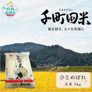 ふるさと納税 陸前高田市 先行受付 令和8年産 ひとめぼれ 玄米 5kg 千町田米 布袋様 パッケージ 米 お米 ライス 限定