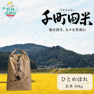 ふるさと納税 陸前高田市 先行受付 令和8年産 ひとめぼれ 玄米 10kg 千町田米 布袋様 パッケージ 米 お米 ライス