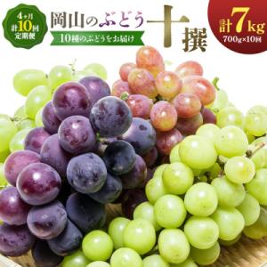 ふるさと納税 笠岡市 【2027年発送先行予約】ぶどう 計10回 4ヶ月定期便 岡山のぶどう 10種 各700g 計7kg
