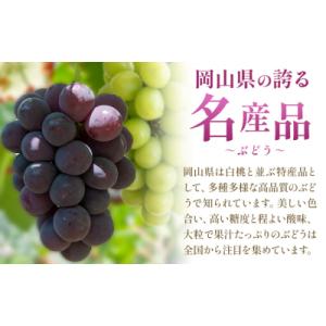 ふるさと納税 笠岡市 【2027年発送先行予約...の詳細画像2