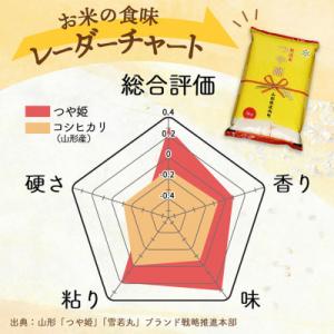 ふるさと納税 庄内町 【定期便】<令和8...の詳細画像2