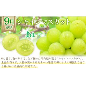 ふるさと納税 笠岡市 【2027年発送先行予約...の詳細画像2