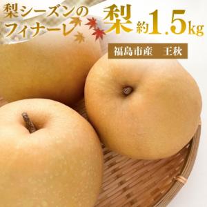 ふるさと納税 福島市  アグリード 福島市産 最終盤の梨(王秋) 約1.5kg(3〜5玉)【2026...