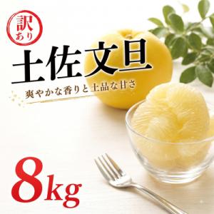 ふるさと納税 愛南町 【先行予約】訳あり 土佐文旦 8kg サイズミックス 清水農園 愛南町 愛媛県