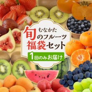 ふるさと納税 宗像市 【7月〜9月発送】むなかた旬のフルーツ福袋セット【JAほたるの里】_AS154...